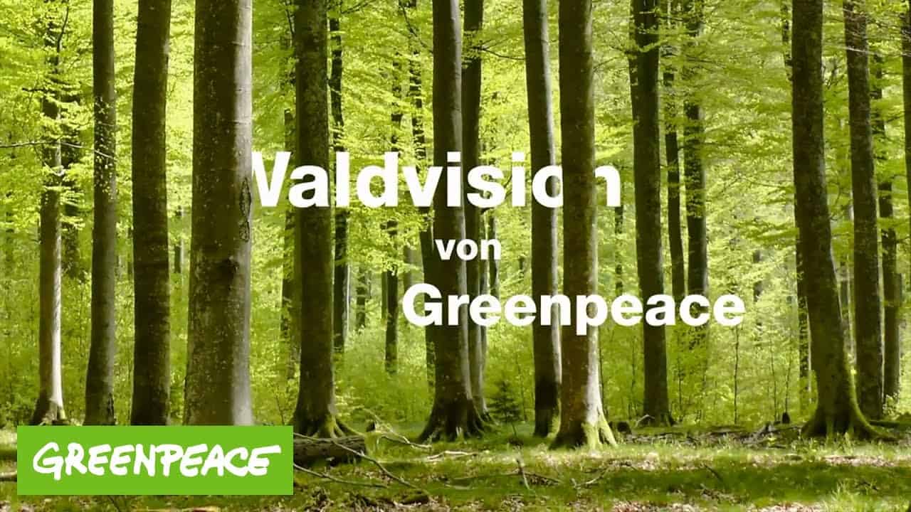 Die Zukunft Unserer Walder Die Waldvision Von Greenpeace Greenpeace Deutschland Option News