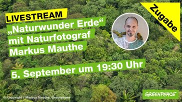 Amazonas Regenwald Mit Gast Christian Felber Die Welt Im Blick Mit Markus Mauthe Greenpeace Deutschland Option News